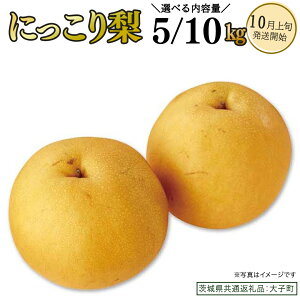 yӂ邳Ɣ[Łzs Iׂ e t ɂ藜 5kg / 10kg y2026N10{Jnz(錧ʕԗiFq)  Ȃ ʕ  t[c ɂ