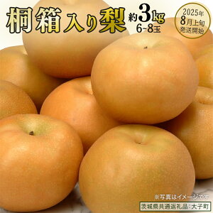 yӂ邳Ɣ[Łzs ˔ t  3kg (6`8) y2025N8{Jnz(錧ʕԗiFq) Ȃ ʕ  t[c ܂ {
