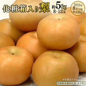 yӂ邳Ɣ[Łzs ϔ t 5kg (8`12)y2025N8{Jnz(錧ʕԗiFq) Ȃ ʕ  t[c ܂ {