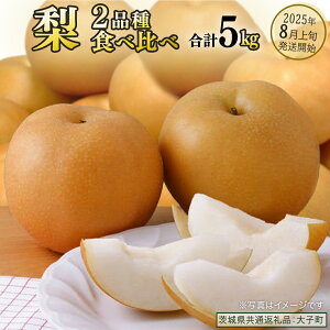 yӂ邳Ɣ[Łzs Hה t  2i v 5kg y2025N8{Jnz (錧ʕԗiFq) Ȃ ʕ  t[c ܂ {