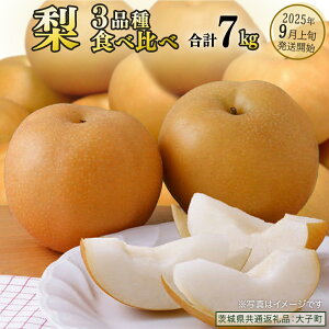 yӂ邳Ɣ[Łzs Hה t  3i v 7kg y2025N9{Jnz(錧ʕԗiFq) Ȃ ʕ  t[c ܂ {