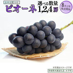 yӂ邳Ɣ[Łzy Iׂ [ zy  lt z sI[l 1[ 2[ 4[ y2026N8{Jnz(錧ʕԗiFq) uhE Ԃǂ  sI[l ʕ t[c ʎ