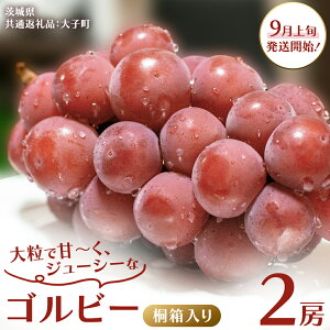 yӂ邳Ɣ[Łzs Iׂ [ ty ˔ z Sr[ 1[ 2[y2025N9{Jnz(錧ʕԗiFq) Ԃǂ uhE  ʕ t[c ʎ p Mtg 蕨 v
