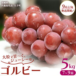 yӂ邳Ɣ[ŁzSr[ 5kg (7`9[)y2025N9{Jnz(錧ʕԗiFq) Ԃǂ uhE  ʕ t[c ʎ