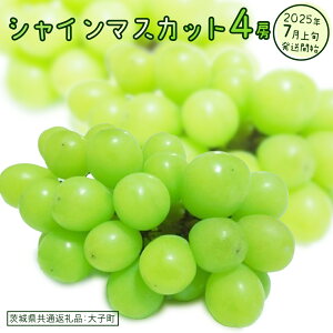 yӂ邳Ɣ[ŁzyIׂ[z VC}XJbg 1[ 2[ 4[y2025N7{Jnz(錧ʕԗiFq) Ԃǂ  uhE }XJbg t[c ʕ XC[c