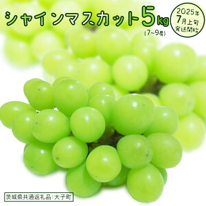 yӂ邳Ɣ[ŁzVC}XJbg 5kg (7`9[)y2025N7{Jnz(錧ʕԗiFq) Ԃǂ  uhE }XJbg t[c ʕ p Mtg 蕨