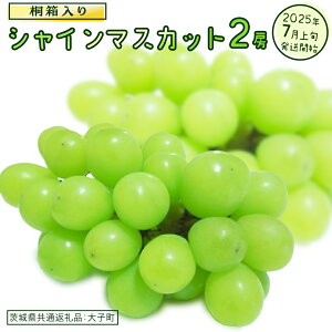 yӂ邳Ɣ[ŁzyIׂ[zs˔t VC}XJbg 1[ 2[y2025N7{Jnz(錧ʕԗiFq) Ԃǂ  }XJbg t[c ʕ p Mtg 