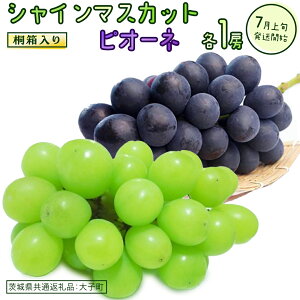 yӂ邳Ɣ[Łzy ˔ zy l z VC}XJbg  Iׂg ( sI[l or  ) y2026N7{Jnz(錧ʕԗiFq)@Ԃǂ  }XJb