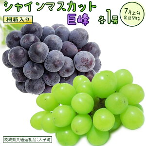 yӂ邳Ɣ[Łzy ˔ zy l z VC}XJbg  Iׂg ( sI[l or  ) y2026N7{Jnz(錧ʕԗiFq)@Ԃǂ  }XJb