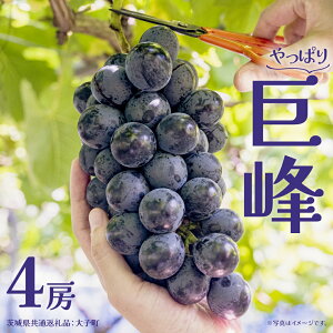 yӂ邳Ɣ[Łzs Iׂ [ t  1[ 2[ 4[ (錧ʕԗiFq) Ԃǂ  uhE t[c ʕ XC[c