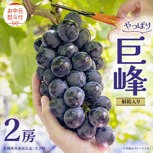 yӂ邳Ɣ[Łzs Iׂ [ ts  ˔t  1[ 2[ y2026N8{Jnz(錧ʕԗiFq) Ԃǂ  uhE t[c ʕ XC[c Mtg p 