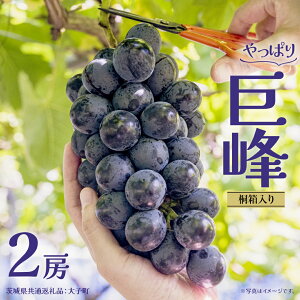 yӂ邳Ɣ[Łzy Iׂ [ zy˔z  1[ or 2[ (錧ʕԗiFq) Ԃǂ  uhE t[c ʕ XC[c Mtg p 蕨 v[g