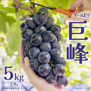 yӂ邳Ɣ[Łz 5kg (7`9[) (錧ʕԗiFq) Ԃǂ  uhE t[c ʕ XC[c