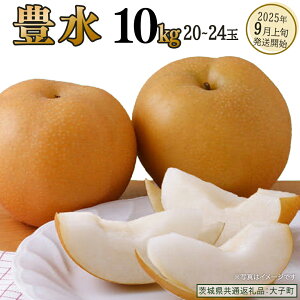 yӂ邳Ɣ[Łzs Iׂ e t L 5kg / 10kg y2025N9{Jnz(錧ʕԗiFq)  Ȃ ʕ  t[c