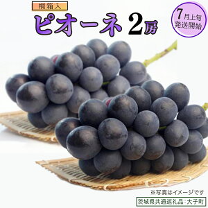 yӂ邳Ɣ[Łzs Iׂ [ ty˔z sI[l 1[ 2[y2025N7{Jnz(錧ʕԗiFq) uhE Ԃǂ  sI[l ʕ t[c ʎ p 蕨 Mt