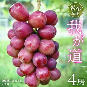 yӂ邳Ɣ[Łzs Iׂ [ t 䂪 1[ 2[ 4[y2025N9{Jnz(錧ʕԗiFq) VC}XJbg ECN  uhE Ԃǂ ʕ t[c  Vi