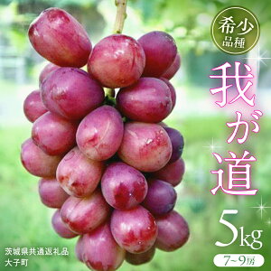 yӂ邳Ɣ[Łz䂪 5kg (7`9[) y2025N9{Jnz(錧ʕԗiFq) VC}XJbg ECN  uhE Ԃǂ ʕ t[c  Vi