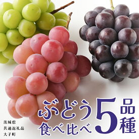 【ふるさと納税】《 選べる 品種数 》 ぶどう 3～5品種 食べ比べ 【2026年8月上旬発送開始】(茨城県共通返礼品：大子町) ブドウ 葡萄 シャインマスカット 巨峰 ピオーネ ゴルビー 我が道 果物 フルーツ 果実