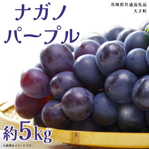 yӂ邳Ɣ[ŁziKmp[v 5kg (7`9[)y2025N9{Jnz(錧ʕԗiFq) Ԃǂ  uhE ʕ t[c ʎ