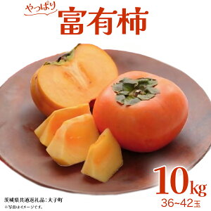 yӂ邳Ɣ[ŁzxL` 10kg (36`42)y2025N11{Jnz(錧ʕԗiFq) `  t[c ʕ H̖o {