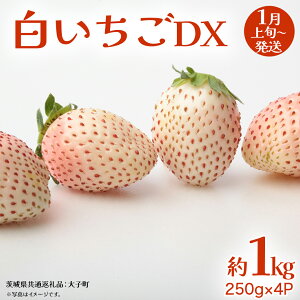yӂ邳Ɣ[Łz DX 1kg (250g×4P)y2026N1{Jnz(錧ʕԗiFq)   C`S ʕ t[c 
