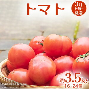 yӂ邳Ɣ[Łzg}g 3.5kg (16`24)y2026N3{Jnz(錧ʕԗiFq) Ƃ܂  ₳