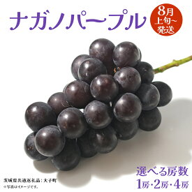 【ふるさと納税】《 選べる 房数 》ナガノパープル 1房 / 2房 / 4房 【2026年8月上旬発送開始】(茨城県共通返礼品：大子町) ぶどう 葡萄 ブドウ 果物 フルーツ 果実