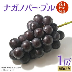 yӂ邳Ɣ[Łzy ˔ z iKmp[v 1[ y2025N8{Jnz(錧ʕԗiFq) Ԃǂ  uhE ʕ t[c ʕ p Mtg 蕨