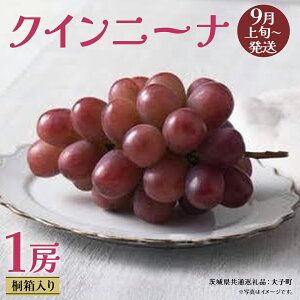 yӂ邳Ɣ[Łzy ˔ z NCj[i1[ y2026N9{Jnz(錧ʕԗiFq) Ԃǂ  }XJbg t[c ʕ p Mtg 蕨