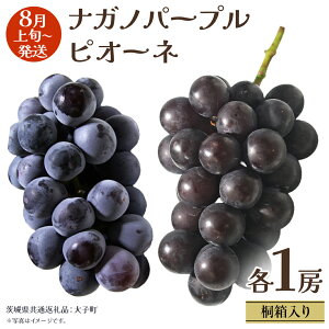 yӂ邳Ɣ[Łzy ˔ z iKmp[v  sI[l (e1[)y2025N8{Jnz(錧ʕԗiFq) Ԃǂ  }XJbg t[c ʕ p Mtg 蕨