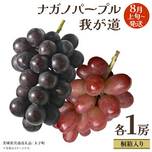 yӂ邳Ɣ[Łzy ˔ z iKmp[v  䂪 (e1[)y2025N8{Jnz(錧ʕԗiFq) Ԃǂ  t[c ʕ p Mtg 蕨