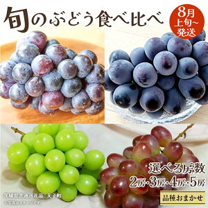 yӂ邳Ɣ[Łzs Iׂ [ t{ Ԃǂ Hה 700g × 2[ / 3[ / 4[ / 5[y2025N8{Jnz(錧ʕԗiFq) Ԃǂ  t[c ʕ ܂ y