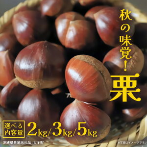 yӂ邳Ɣ[Łzs Iׂ e tH̖ou I v2kg 3kg 5kgy2025N9{Jnz(錧ʕԗiFq)  } ʕ XC[c u IƂ I ĂI ÌI