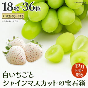yӂ邳Ɣ[Łzs Iׂ e ty Ε lt z   VC}XJbg ̕Δ18 / 36y2025N12{Jnz(錧ʕԗiFq)  }XJbg 