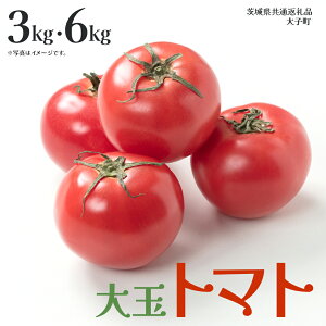 yӂ邳Ɣ[Łzs Iׂ e t g}g 3kg / 6kg (錧ʕԗiFq)  t[c { Gߌ Ԍ