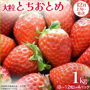 yӂ邳Ɣ[ŁzƂƂ 嗱 250gi8`12j×4pbNy2025N12{Jnz(錧ʕԗiFq)   ʕ t[c ʎ