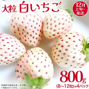 yӂ邳Ɣ[Łz 嗱 200gi8`12j×4pbNy2025N12{Jnz(錧ʕԗiFq)   ʕ t[c ʎ