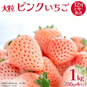 yӂ邳Ɣ[ŁzsN 嗱 250gi8`12j×4pbNy2025N12{Jnz(錧ʕԗiFq)   ʕ t[c ʎ