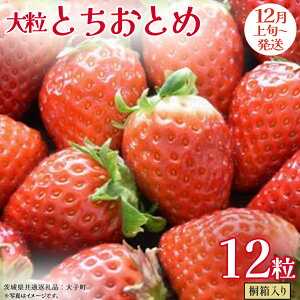 yӂ邳Ɣ[Łz˔ 嗱 ƂƂ 12y2025N12{Jnz(錧ʕԗiFq)   ʕ t[c ʎ