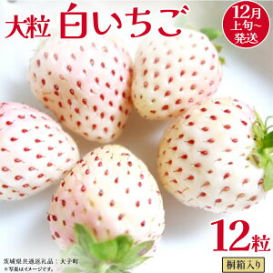 yӂ邳Ɣ[Łz˔ 嗱  12y2025N12{Jnz(錧ʕԗiFq)   ʕ t[c ʎ