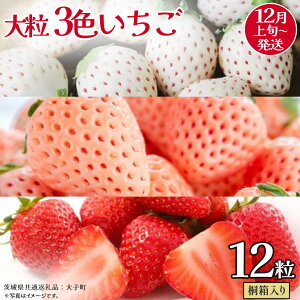 yӂ邳Ɣ[Łz˔ 嗱 3F 12y2025N12{Jnz(錧ʕԗiFq)   ʕ t[c ʎ
