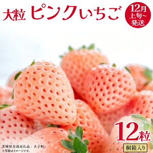 yӂ邳Ɣ[Łz˔ 嗱 sN 12y2025N12{Jnz(錧ʕԗiFq)   ʕ t[c ʎ