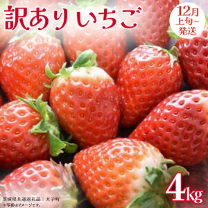 yӂ邳Ɣ[Łzs Iׂ e t󂠂  1kg / 2kg / 4kg y2025N12{Jnz(錧ʕԗiFq)  ʕ t[c ʎ ƒp