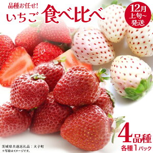 yӂ邳Ɣ[Łz Hה 4i×1pbNy2025N12{Jnz(錧ʕԗiFq)   ʕ t[c ʎ