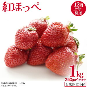 yӂ邳Ɣ[Łzy Ε lt z gق 250gi8`12j×4pbNy2025N12{Jnz(錧ʕԗiFq)   ʕ t[c ʎ p Mtg 蕨