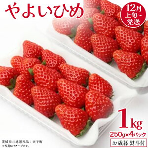 yӂ邳Ɣ[Łzy Ε lt z 悢Ђ 250gi8`12j×4pbNy2025N12{Jnz(錧ʕԗiFq)   ʕ t[c ʎ p Mtg 蕨