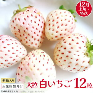 yӂ邳Ɣ[Łzy Ε lt z ˔ 嗱  12y2025N12{Jnz(錧ʕԗiFq)   ʕ t[c ʎ p Mtg 蕨