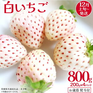 yӂ邳Ɣ[Łzy Ε lt z  200gi8`12j×4pbNy2025N12{Jnz(錧ʕԗiFq)   ʕ t[c ʎ p Mtg 蕨