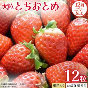 yӂ邳Ɣ[Łzy Ε lt z ˔ 嗱 ƂƂ 12y2025N12{Jnz(錧ʕԗiFq)   ʕ t[c ʎ p Mtg 蕨