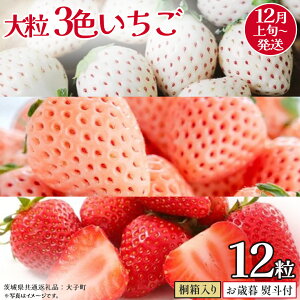 yӂ邳Ɣ[Łzy Ε lt z˔ 嗱 3F 12y2025N12{Jnz(錧ʕԗiFq)   ʕ t[c ʎ p Mtg 蕨